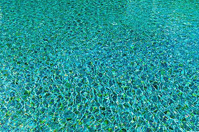 《宝可梦：晶灿钻石＆明亮珍珠》预购特典玛纳霏的蛋